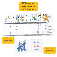 Load image into Gallery viewer, BiMoo Trilingual magnets jungle animals 20 words and 20 picture magnets
