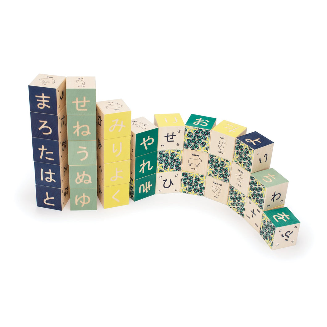 Uncle Goose Japanese Blocks